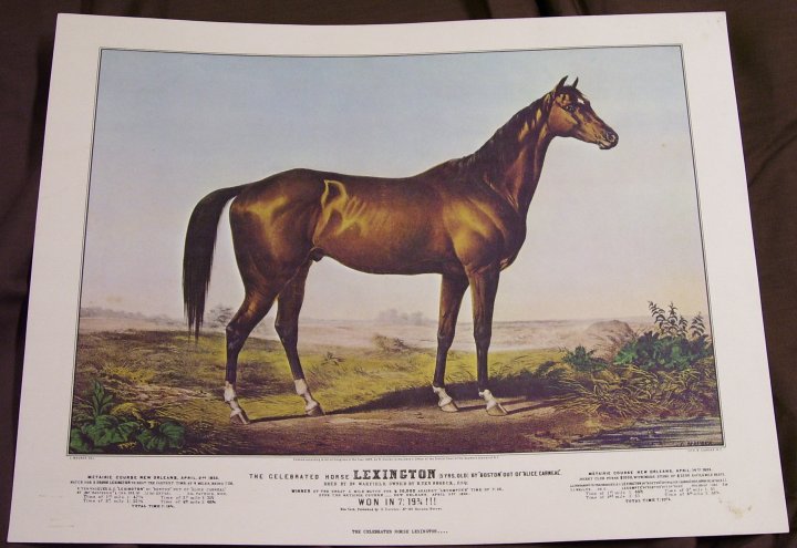 Art Print The Celebrated Horse Lexington, reprint from 1968